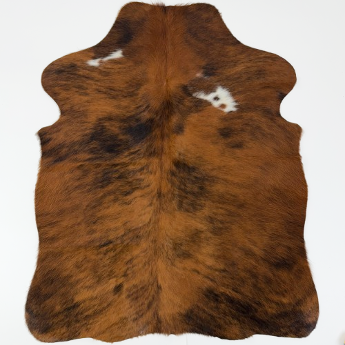 XS Reddish Brown and Black Brindle Cowhide: reddish brown with black, brindle markings, and two small, white spots on the shoulder - 4'4" x 3'4" (XS763)