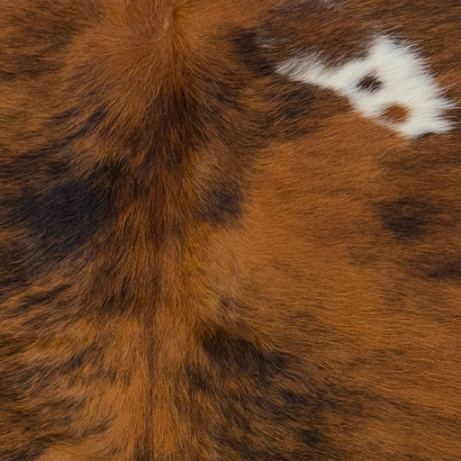 Closeup of this XS Brindle Cowhide, showing reddish brown with black, brindle markings, and one small, white spots on the shoulder (XS763)