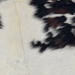 Closeup of this XS Tricolor Cowhide, showing white and off-white with spots that have a mix of dark brown and black, and longer hair down the middle of the shoulder (XS764)