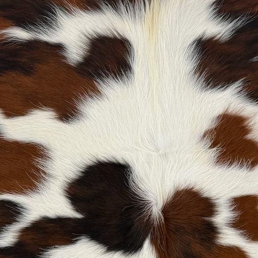 Closeup of this XS Tricolor Cowhide, showing long hair that is white with large and small spots that have a mix of black and brown, and off-white on part of the spine (XS766)