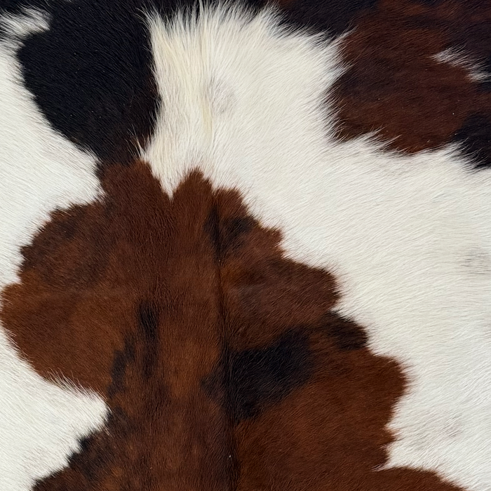 Closeup of thisXS Tricolor Cowhide, showing white with faint speckles, and spots with a mix of brown and black   (XS767)