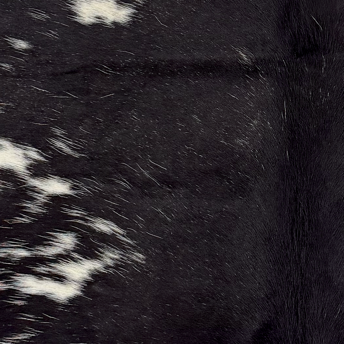 Closeup of this XS Speckled Cowhide, showing black with white speckles and spots  (XS768)
