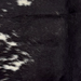 Closeup of this XS Speckled Cowhide, showing black with white speckles and spots  (XS768)