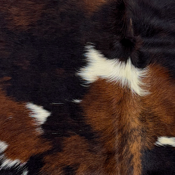 Closeup of this XS Tricolor Cowhide, showing a mix of brown and black with a few white spots (XS770)