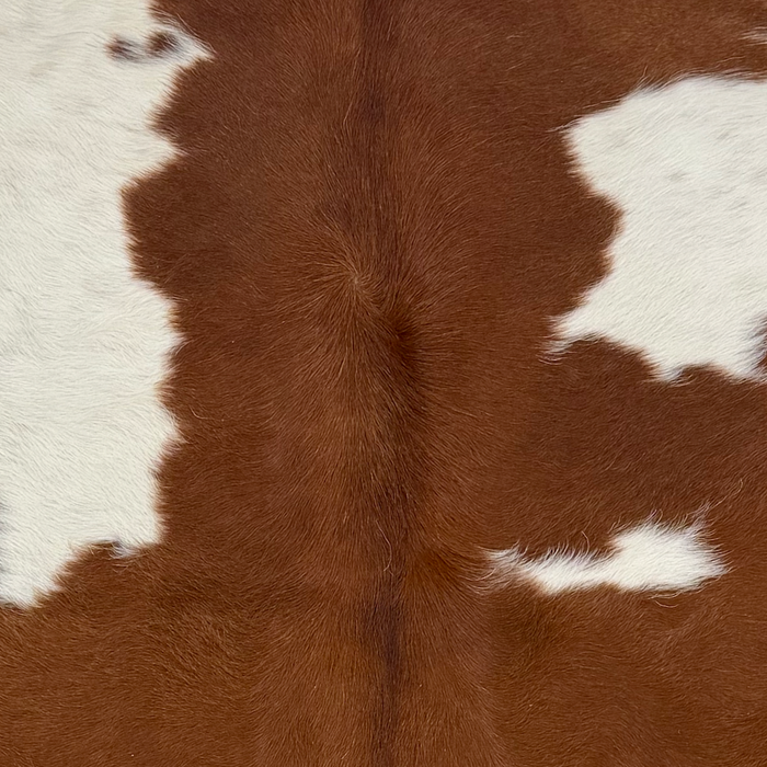 Closeup of this XS Cowhide, showing brown with large and small, brown spots (XS771)