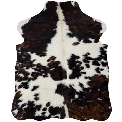 XS Tricolor Cowhide:  white with large and small spots that have a mix of black and brown, and longer off-white hair down the spine - 4'4" x 3'4"  (XS774)