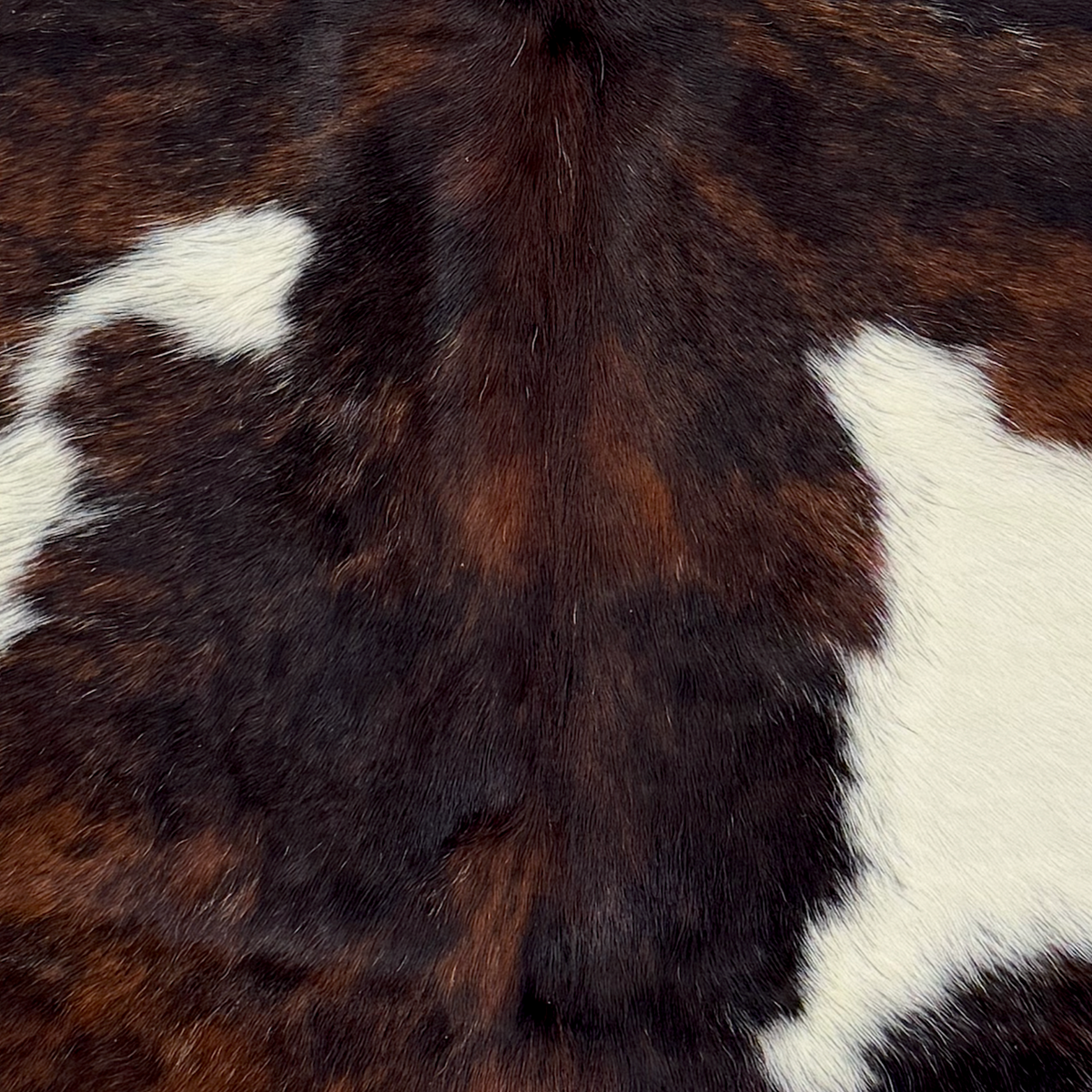 Closeup of this XS Tricolor Cowhide, showing a mix of black and brown, and small and large, white spots (XS775) 