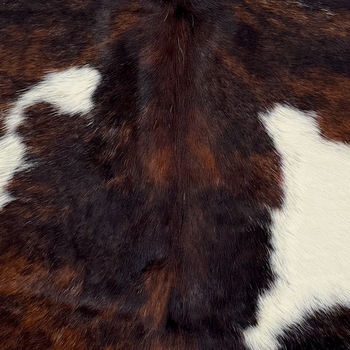 Closeup of this XS Tricolor Cowhide, showing a mix of black and brown, and small and large, white spots (XS775) 