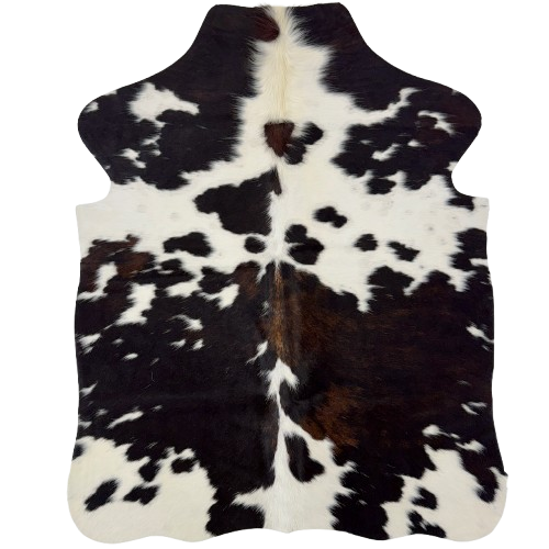 XS Tricolor Cowhide: white and off-white with black spots and dark brown mixed in on some of the spots, and longer hair down the middle of the shoulder - 4'3" x 3'4" (XS781)