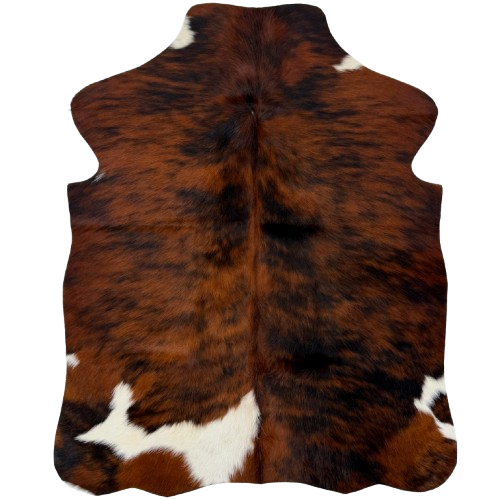 XS Tricolor Cowhide:  has a reddish brown and black, brindle pattern and one large and four small, white spots - 4'4" x 3'4"  (XS782)