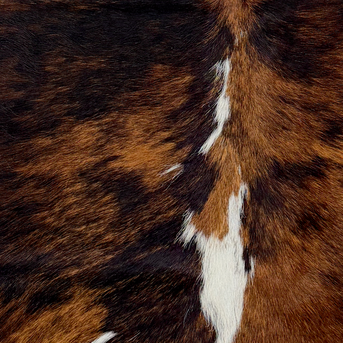 Closeup of this XS Tricolor Cowhide, showing a mix of black and brown and small and large, white spots (XS783)
