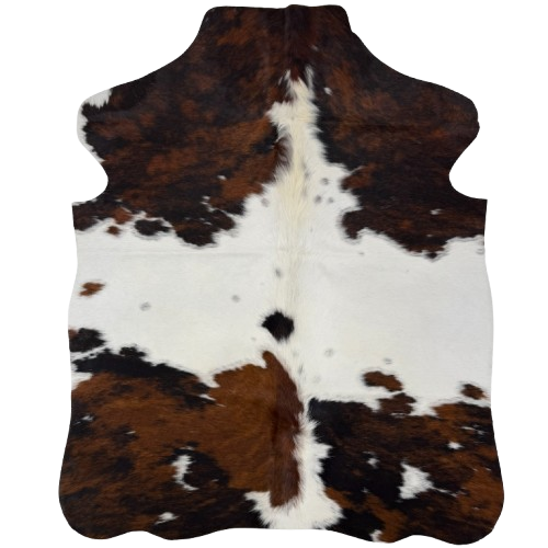 XS Tricolor Cowhide: white, brown, and black, a few faint speckles in the white,  and longer, off-white hair down the middle of the shoulder - 4'3" x 3'4" (XS784)