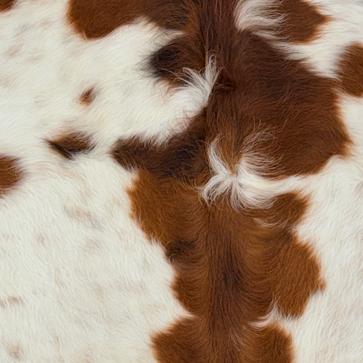 Closeup of this XS Cowhide, showing long hair that is ivory with faint, red brown speckles, and large and small spots  (XS785)