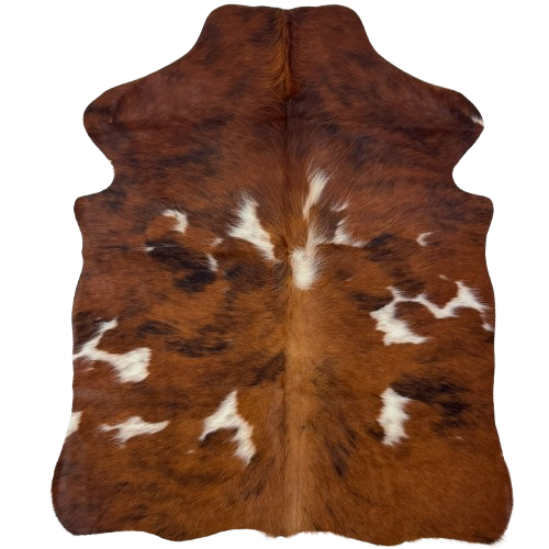 XS Tricolor Cowhide: has long hair that is red brown with black and white spots - 4'4" x 3'5" (XS786)