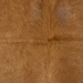 Closeup of this XS Cowhide, showing solid brown with long hair down the middle of the shoulder  (XS787)