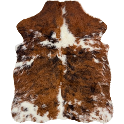 XS Tricolor Cowhide: has long hair that is reddish brown, black, and white - 4'4" x 3'5" (XS788)