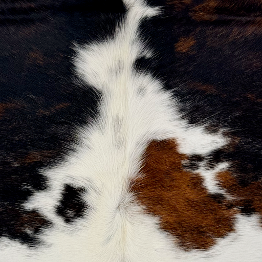 Closeup of this XS Tricolor Cowhide, showing white with large and small spots that have a mix of black and brown   (XS792)