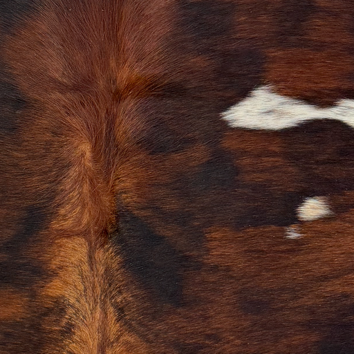 Closeup of this XS Brindle Cowhide, showing red brown and black, with three small white spots on the back (XS793)
