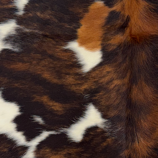 Closeup of this XS Tricolor Cowhide, showing large and small spots with a black and brown, brindle pattern, and large and small white spots with black speckles   (XS794)
