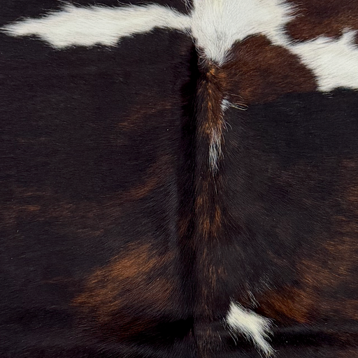 Closeup of this XS Tricolor Cowhide, showing a mix of black and brown, and a few white spots (XS795)