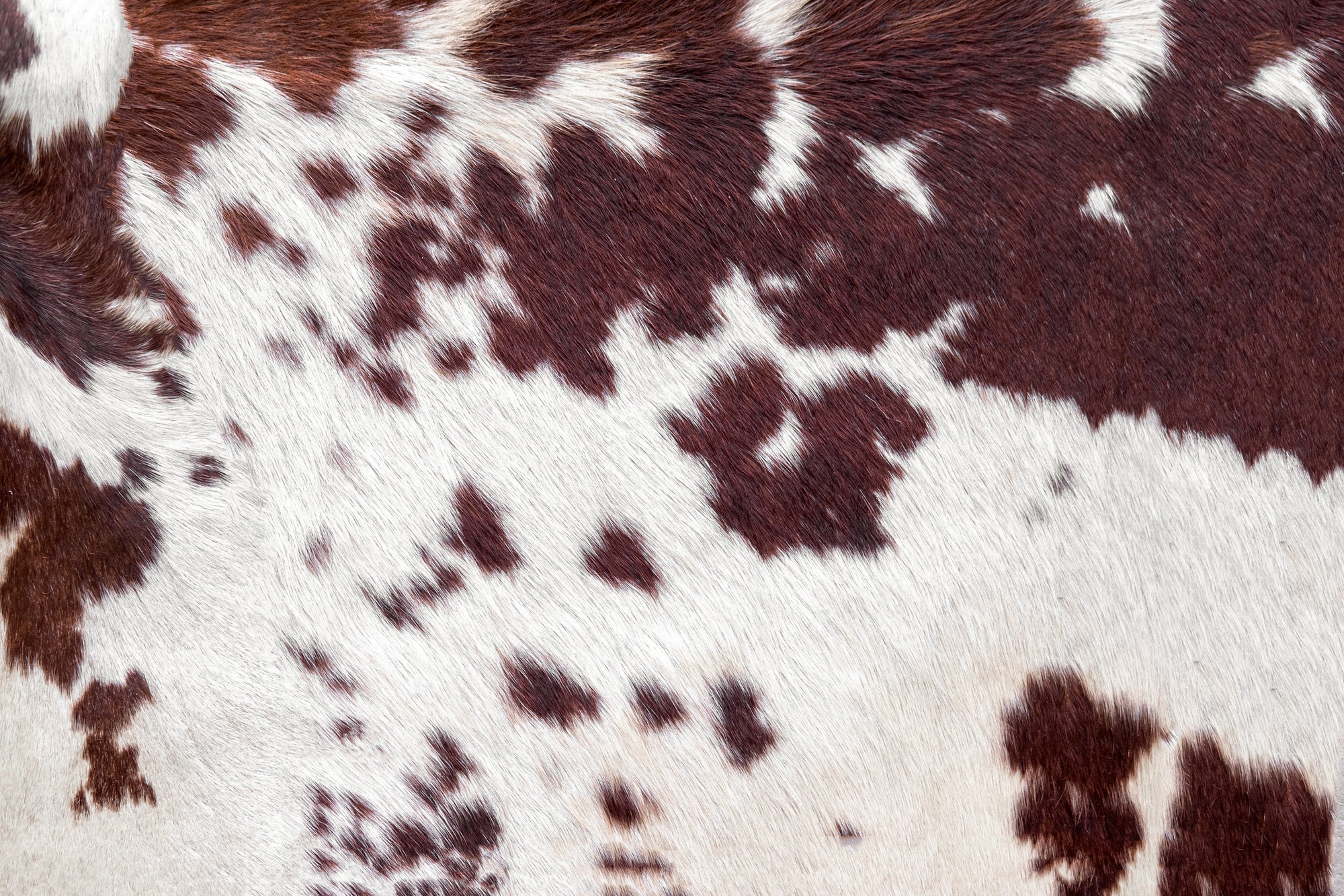 Genuine Cowhide Leather | Brazilian & Colombian Cowhides — Superior Hides®