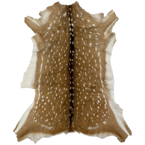 Authentic Axis Deer Hide - 2'8" x 1'10" (AXIS022)