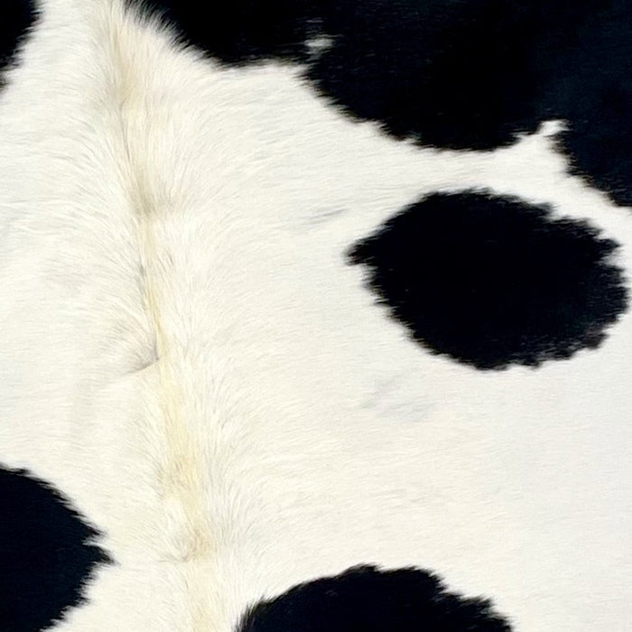 Closeup of the XL, Brazilian Cowhide that is white with black spots, black across the shoulder, and off-white on the spine (BRBKW179)