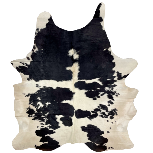 XL Black and Off-White Brazilian Cowhide:  off-white with large and small, black spots, and long hair on part of the spine - 8'3" x 5'11" (BRBKW196)