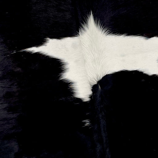 Closeup of this XL, Black and White, Brazilian Cowhide, showing black with one of two white spots down the middle (BRBKW222)