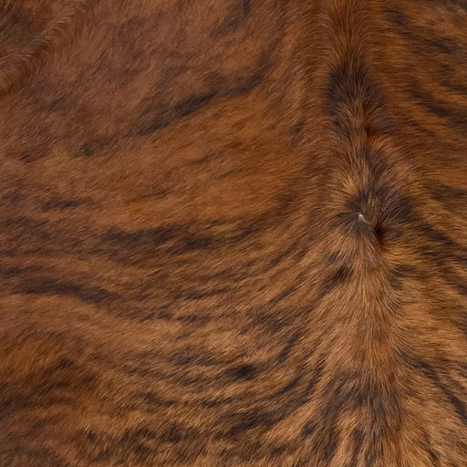 Closeup of this Brazilian, Brindle Cowhide, showing red brown and black (BRBR885)