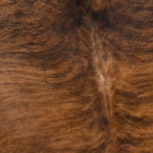 Closeup of this Brazilian, Brindle Cowhide, showing reddish brown and black (BRBR900)
