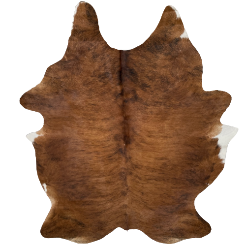 XL Reddish Brown and Black Brazilian Brindle Cowhide, with a touch of white on the belly - 8' x 6'2" (BRBR913)
