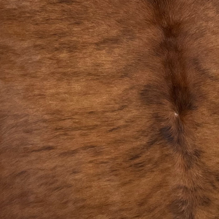 Closeup of this XL, Brazilian, Brindle Cowhide, showing reddish brown and black  (BRBR913)