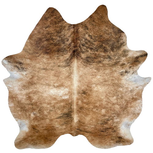 Large Light Brown and Black Brazilian Brindle Cowhide:  light brown with black, brindle markings, a splash of white in the middle, on the left side, and off-white down part of the spine - 7'8" x 6'8" (BRBR918)