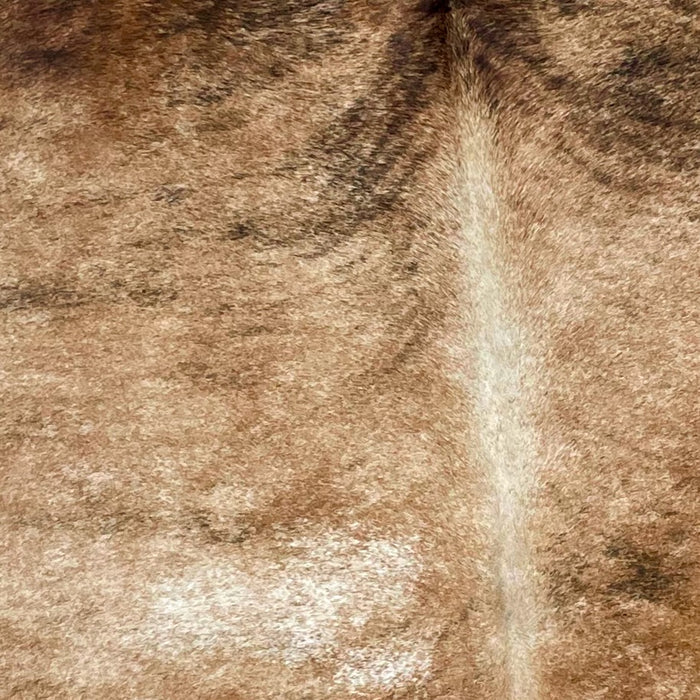 Closeup of this Large, Brazilian, Brindle Cowhide, showing light brown with black, brindle markings, a splash of white in the middle, on the left side, and off-white down part of the spine (BRBR918)