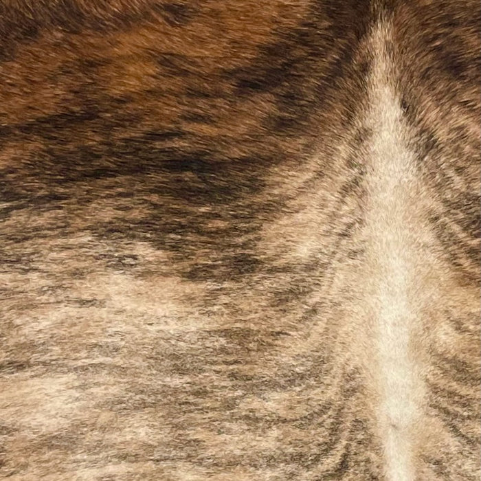 Closeup of this Large Brazilian, Brindle Cowhide, showing tan and black on the back, and brown and black on the shoulder (BRBR942)