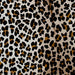 Closeup of this Brazilian Calfskin that is white with brown down the middle, showing a stenciled brown and black, Leopard Print (BRCALF550)