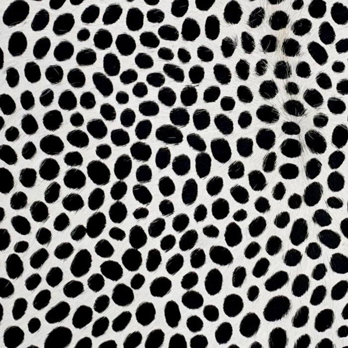 Closeup of this White, Brazilian Calfskin, showing a stenciled, Black, Cheetah Print (BRCALF552)
