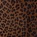 Closeup of this Dark Brown, Brazilian Calfskin, showing a black and brown, Leopard Print (BRCALF554)