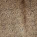 Closeup of this Light Brown, Brazilian Cowhide, showing a stenciled, Black, Cheetah Print (BRCH017)