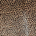 Closeup of this large, brown, Brazilian Cowhide, showing a brown and black, Leopard Print (BRLP069)