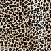 Closeup of this Light Brown, Brazilian Cowhide, showing a brown and black, Leopard Print (BRLP072)