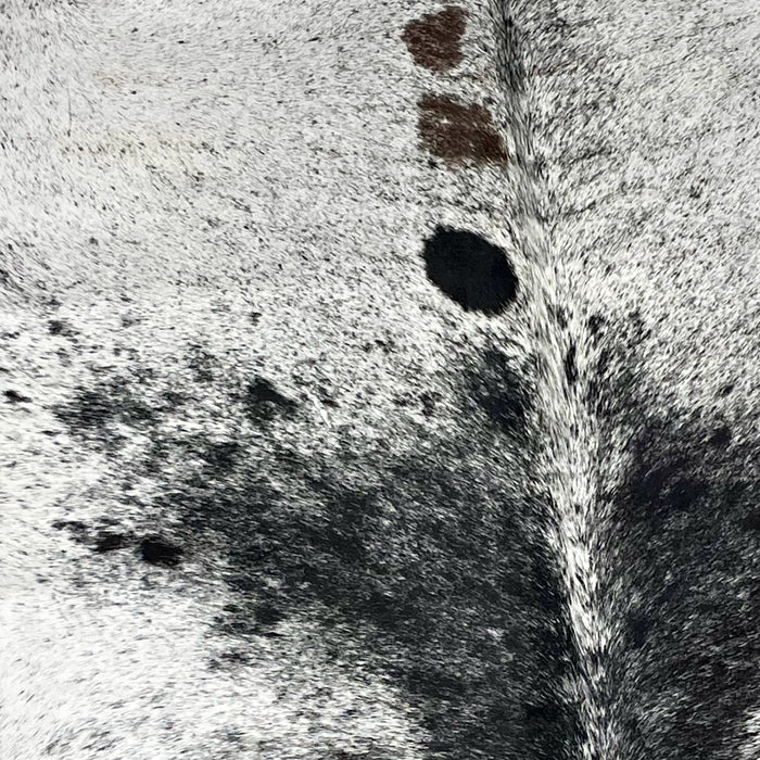 Large Black and White Brazilian Salt & Pepper Cowhide, with two Brown spots (BRSP1011)