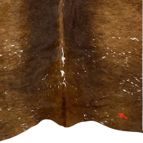 Closeup of this Brazilian Dark Brown & Golden Brown Speckled Cowhide, showing one brand mark on the right side, lower edge of the hide  (BRSP1210)
