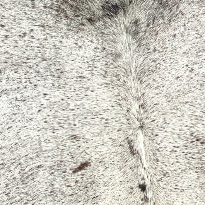 Closeup of this Large, Brazilian, Salt & Pepper Cowhide that is white with blackish brown and brown speckles (BRSP1304)