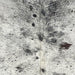 Closeup of this Tricolor, Speckled, Brazilian Cowhide that is white with black speckles and spots, and has a few dark brown spots (BRSP1448)