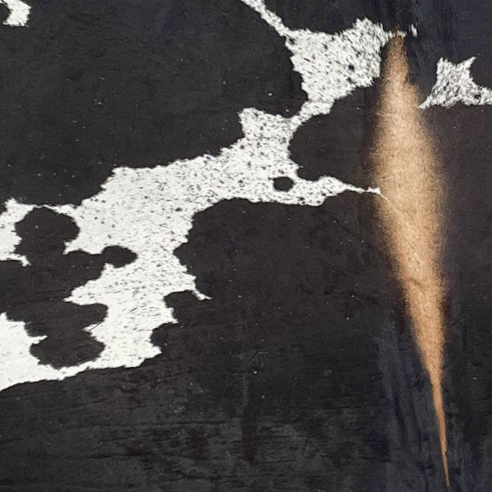 Closeup of this XXXL, Speckled Brazilian Cowhide that is white with black speckles, large black spots, brown spots along the lower edge, and light brown down part of the spine (BRSP1593)