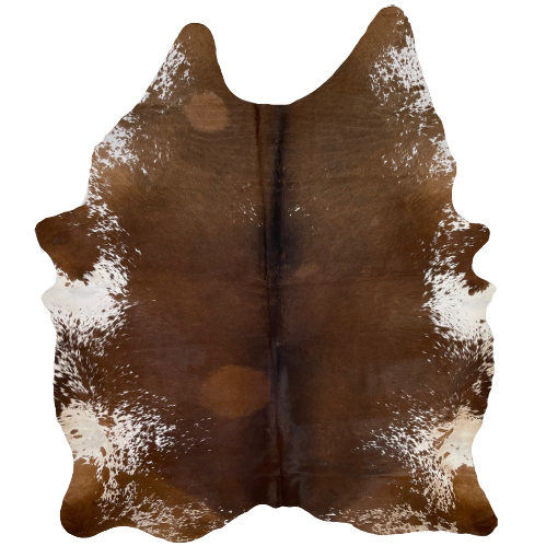 Large Brown and White Speckled Brazilian Cowhide:  mostly solid brown in the middle, with a few white speckles, and white and off-white with brown speckles on the belly and along the lower edge - 7'9" x 6' (BRSP1696)