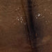 Closeup of this Large, Brown and White, Speckled, Brazilian Cowhide, showing mostly solid brown in the middle, with a few white speckles (BRSP1696)