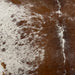 Closeup of this Large, Brown and White, Speckled, Brazilian Cowhide, showing white with brown spots and speckles, brown with fine, white speckles down the middle, and white down part of the spine (BRSP1794)